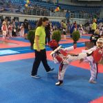 Eξαιρετικές εμφανίσεις η Ακαδημία Ταε Κβο Ντο