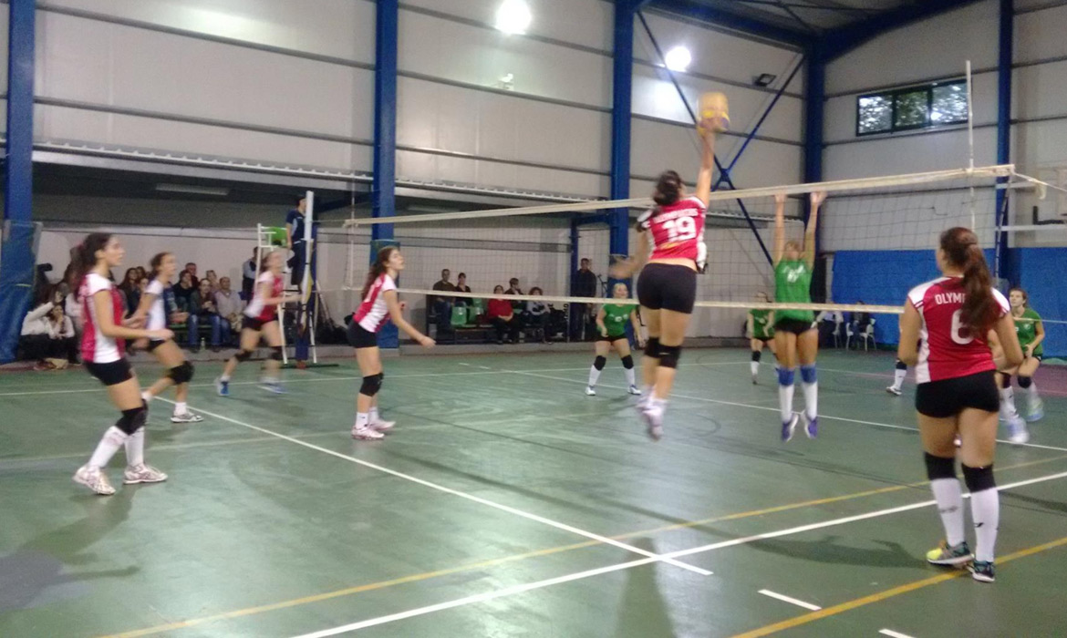 Ο απολογισμός της Ακαδημίας βόλεϊ