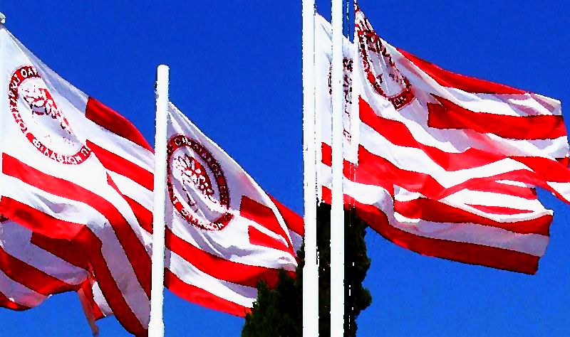 Ανακοίνωση του Συνδέσμου Βετεράνων